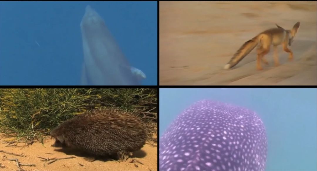 必赢亚洲·bwin(中国区)官方网站