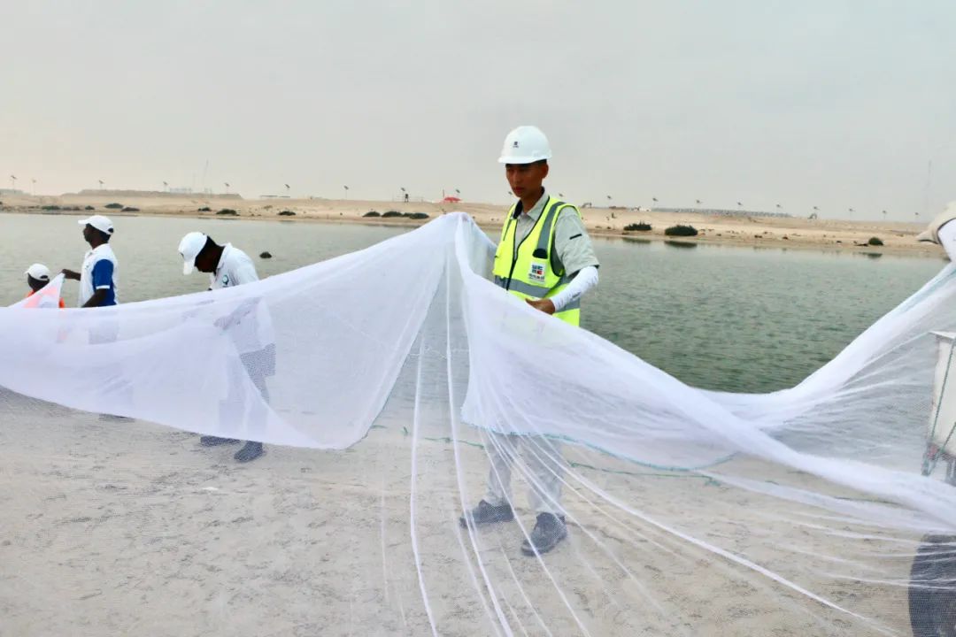 必赢亚洲·bwin(中国区)官方网站