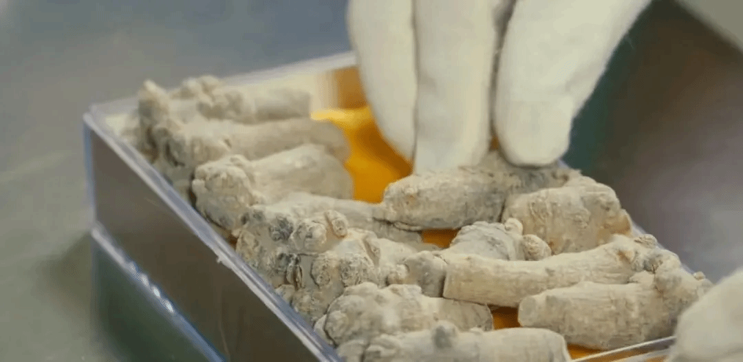 必赢亚洲·bwin(中国区)官方网站