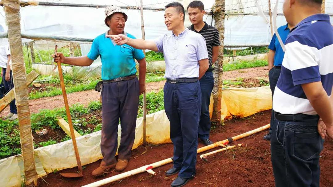 必赢亚洲·bwin(中国区)官方网站