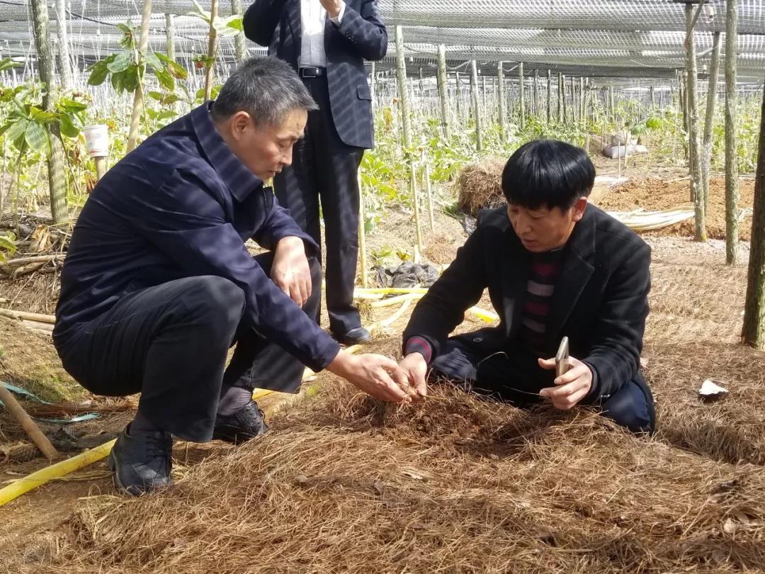 必赢亚洲·bwin(中国区)官方网站