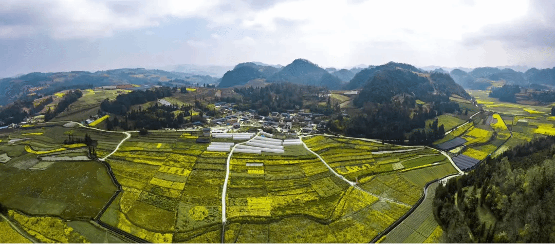 必赢亚洲·bwin(中国区)官方网站