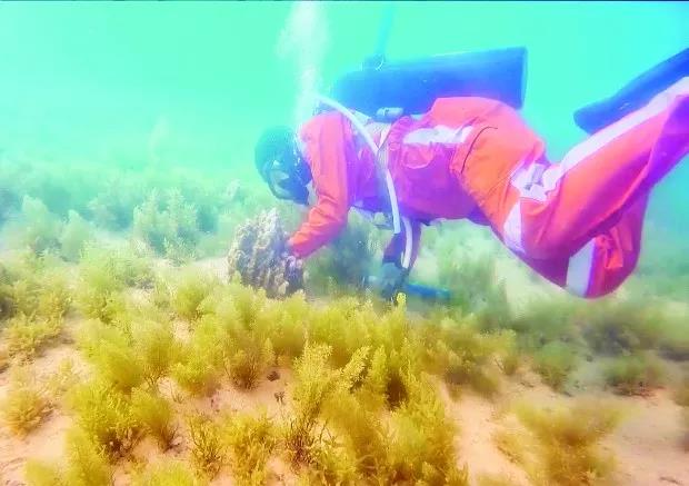 必赢亚洲·bwin(中国区)官方网站