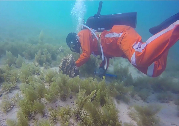 必赢亚洲·bwin(中国区)官方网站