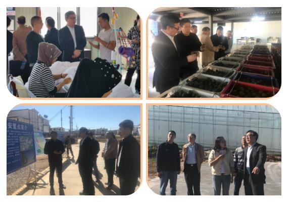 必赢亚洲·bwin(中国区)官方网站