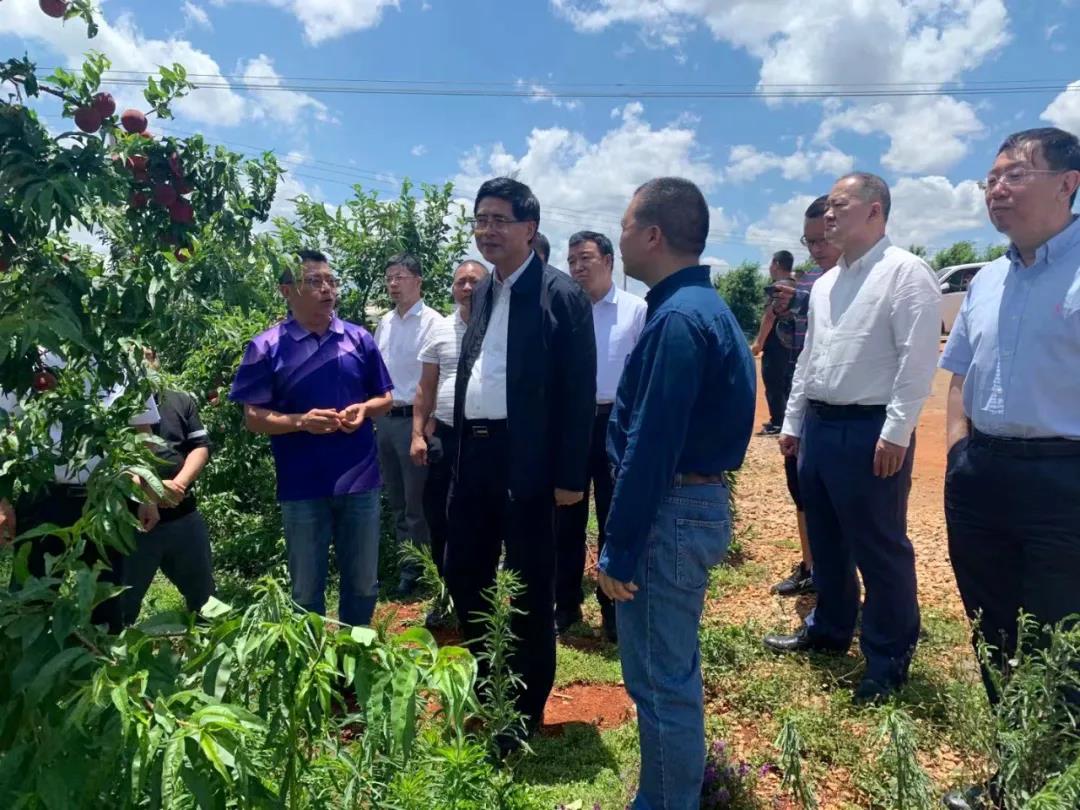 必赢亚洲·bwin(中国区)官方网站