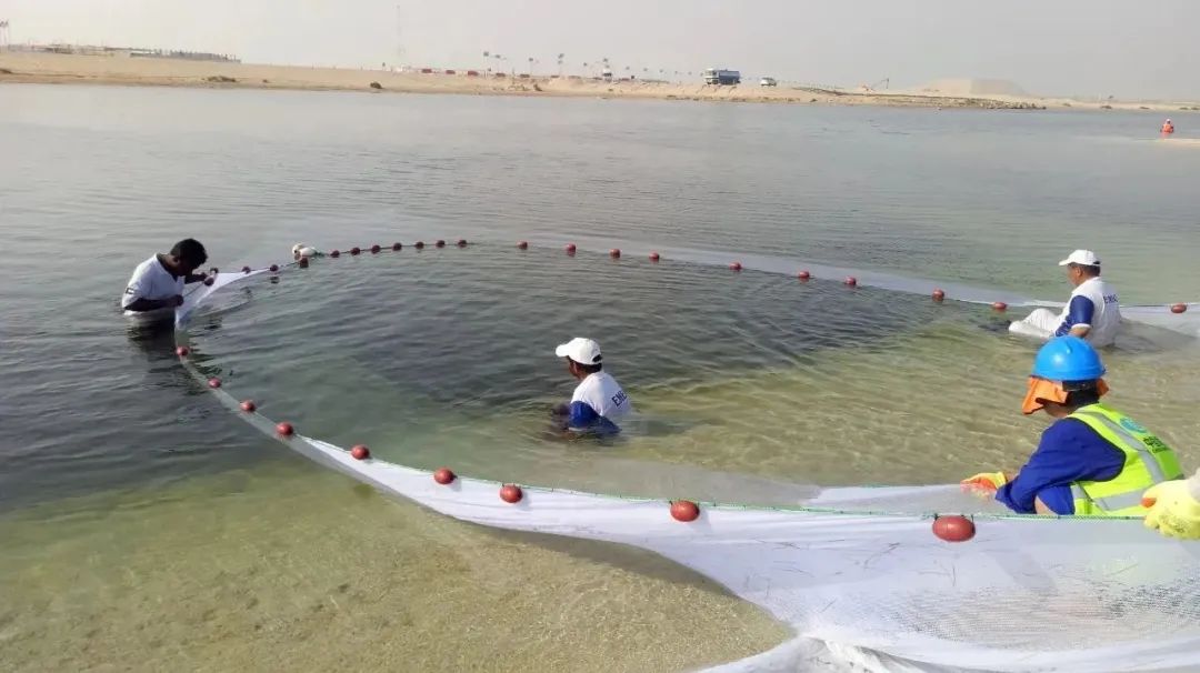 必赢亚洲·bwin(中国区)官方网站