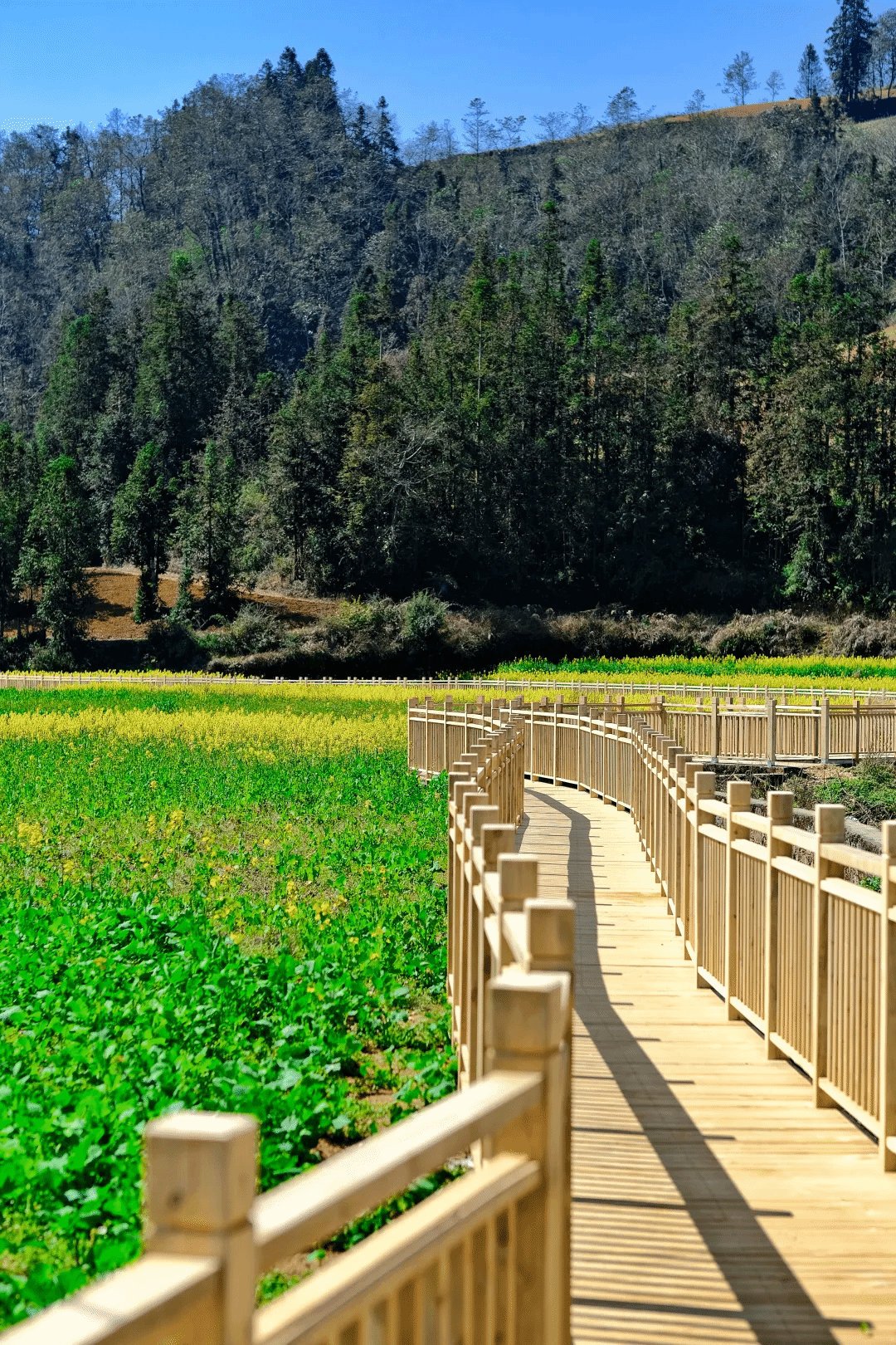 必赢亚洲·bwin(中国区)官方网站