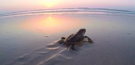 必赢亚洲·bwin(中国区)官方网站