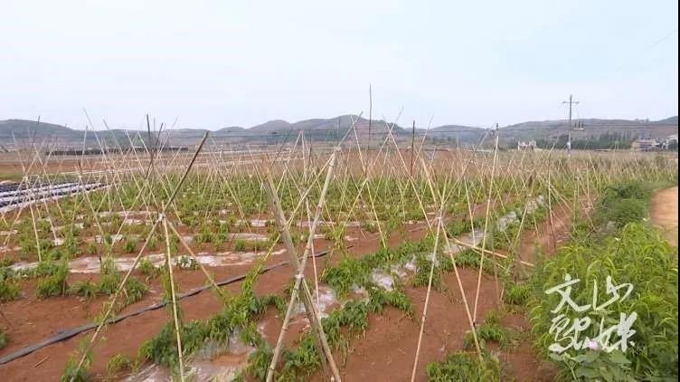 必赢亚洲·bwin(中国区)官方网站