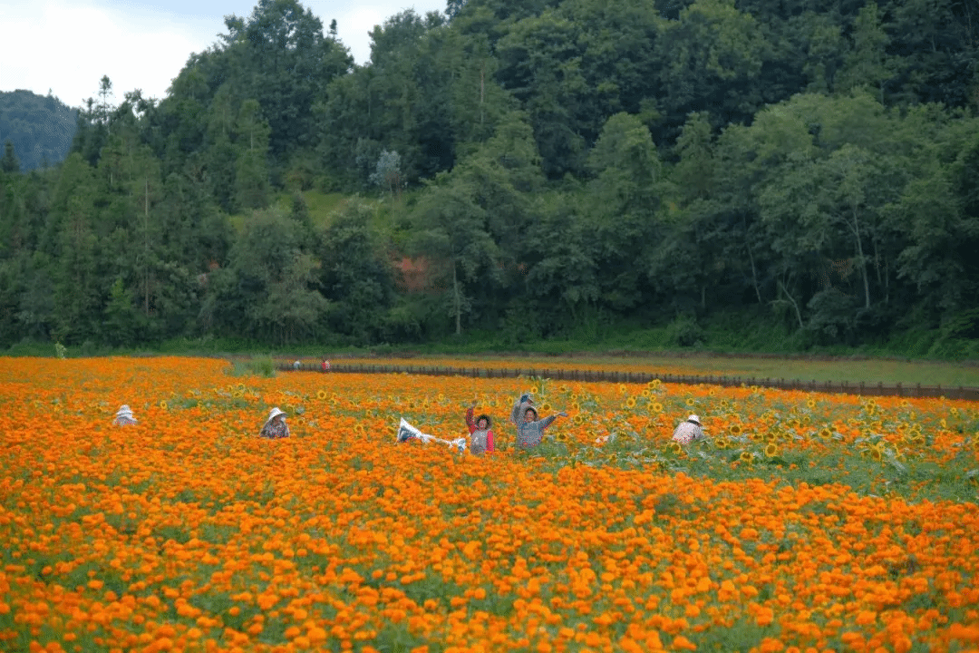 必赢亚洲·bwin(中国区)官方网站