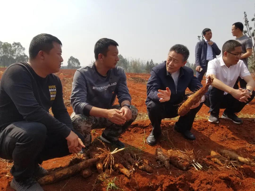 必赢亚洲·bwin(中国区)官方网站