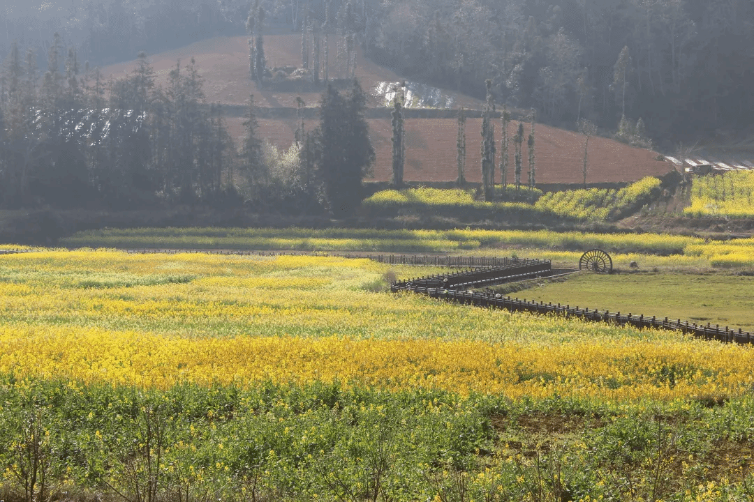 必赢亚洲·bwin(中国区)官方网站