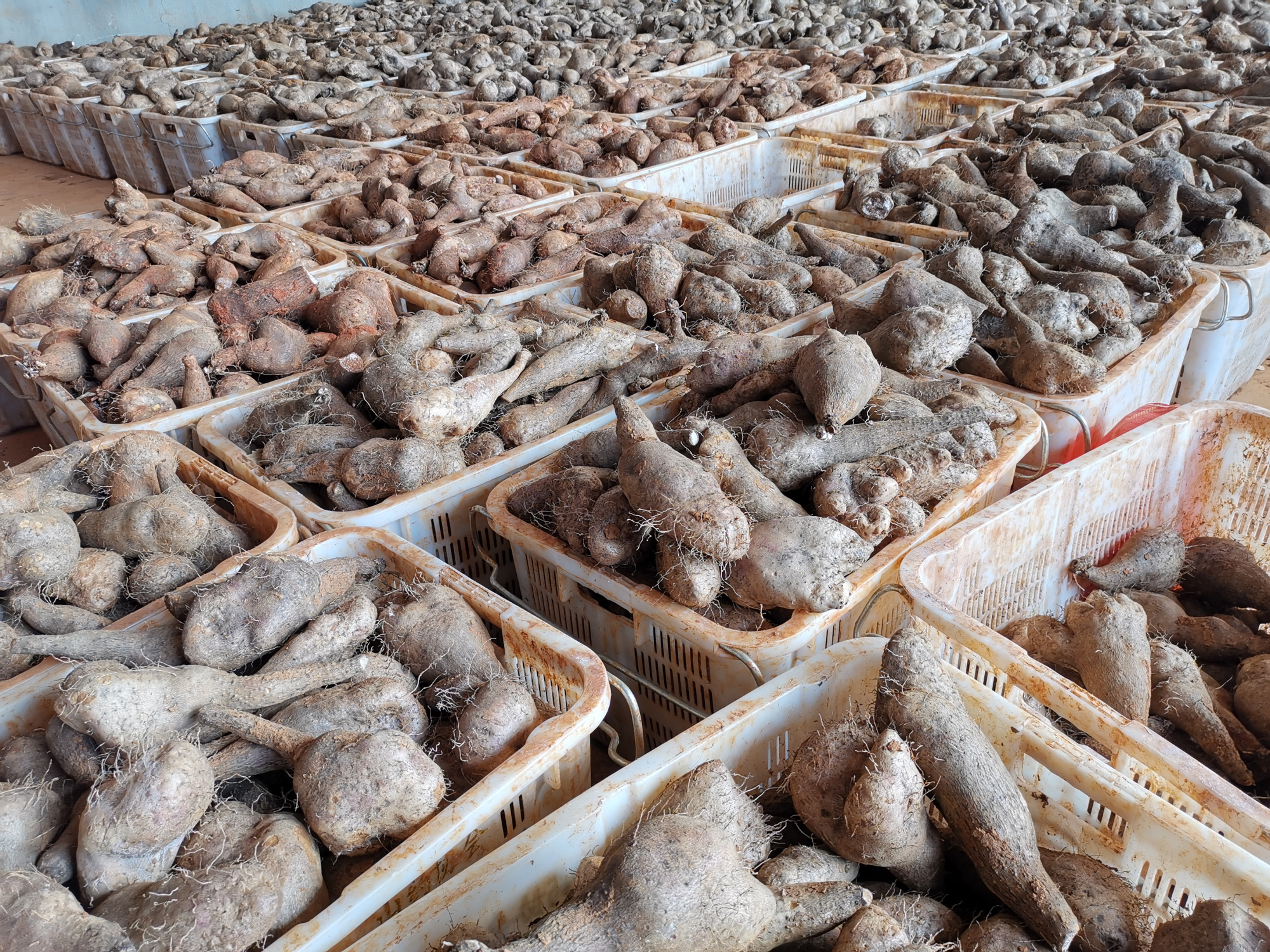 必赢亚洲·bwin(中国区)官方网站